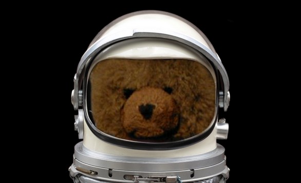 Tedwood in Space
